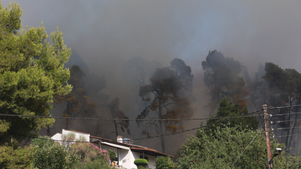 Φωτιά στη Χαλκιδική: Σε 15-20 χρόνια θα υπάρχει νέο δάσος