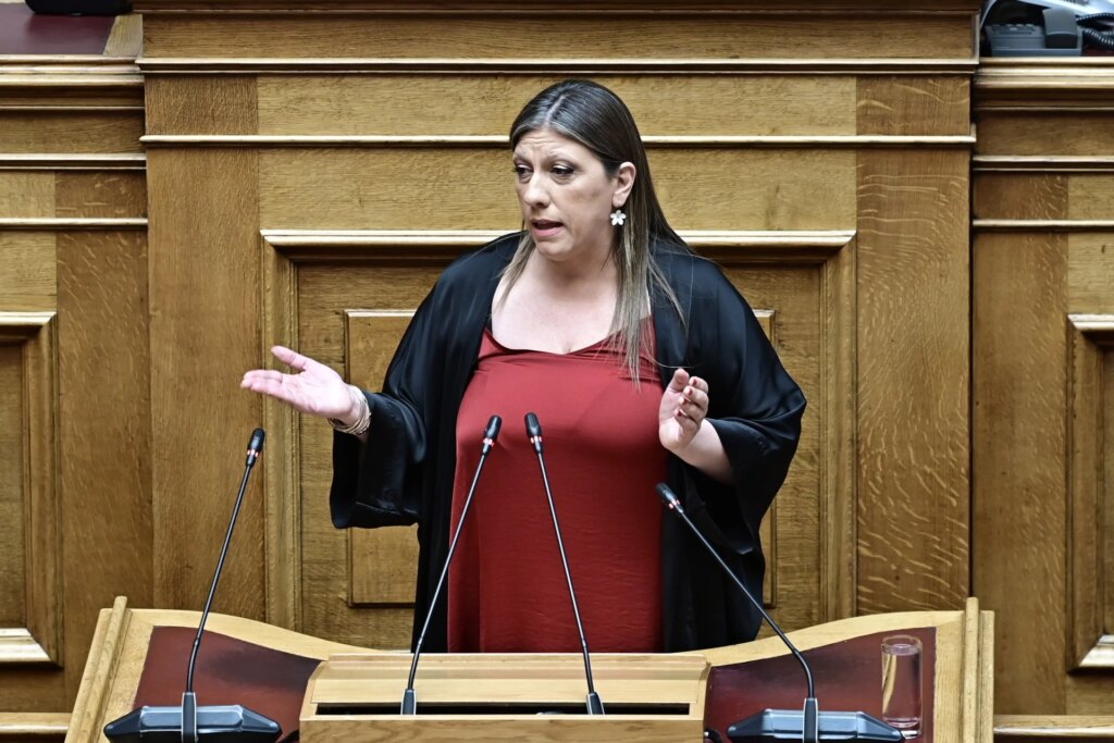 Η Πλεύση Ελευθερίας θα ψηφίσει την Έλενα Ακρίτα για Αντιπρόεδρο της Βουλής