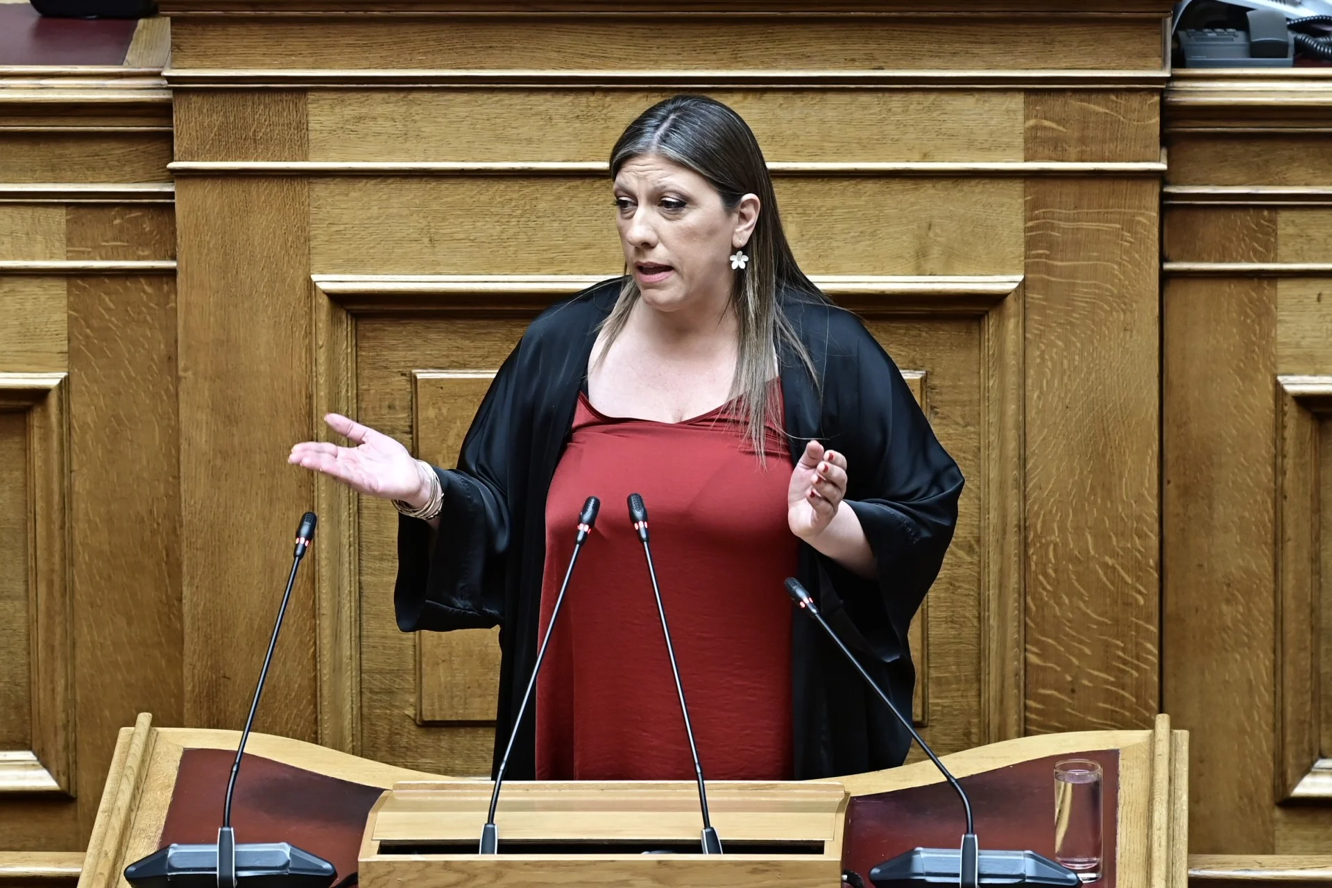 Η Πλεύση Ελευθερίας θα ψηφίσει την Έλενα Ακρίτα για Αντιπρόεδρο της Βουλής