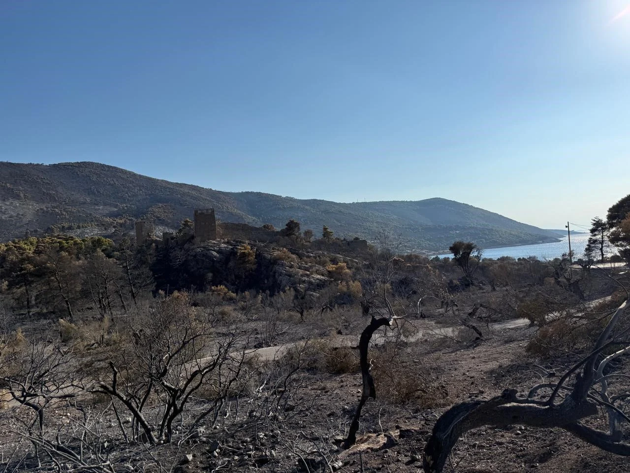 Αυτοψία της Λ. Μενδώνη στα Αιγόσθενα για τις επιπτώσεις της πυρκαγιάς
