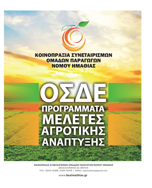 Άνοδο τιμών δείχνουν τα θεμελιώδη στο καλαμπόκι ως 23 λεπτά σπυρί νέας σοδειάς