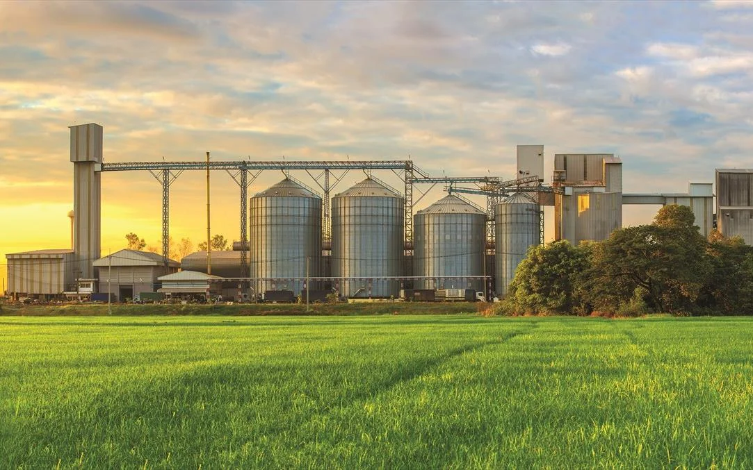 New orders accelerate as supply chain pressures persist