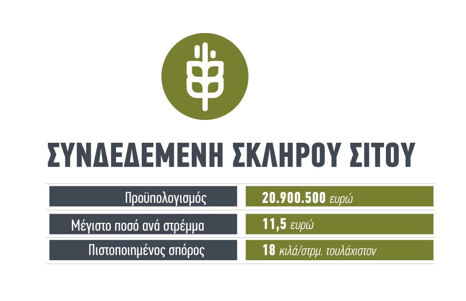 Συνδεδεμένη στα 11,5 ευρώ το στρέμμα και χωρίςεπανέλεγχο μετά την αύξηση κατά 30% στο διαθέσιμο κονδύλι