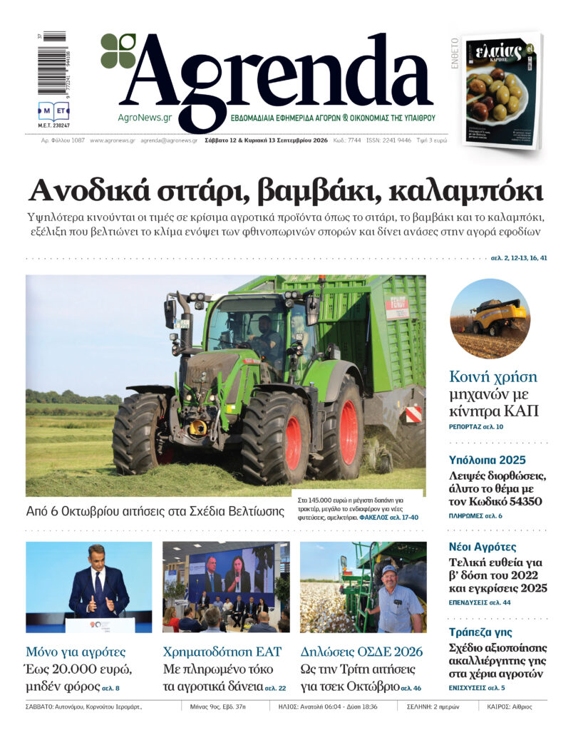 Βελτιωμένη η εικόνα στα όψιμα φασόλια, ελπίδες για τιμή βάσης στα 5,20 ευρώ