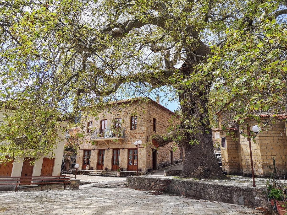 Ανοικτή η πλατφόρμα ΟΠΕΚΑ για την εισοδηματική στήριξη ως 600 ευρώ για κατοίκους ορεινών και μειονεκτικών περιοχών