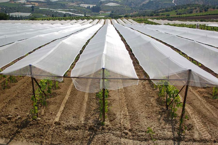 Αιτήματα πληρωμής από 30 Σεπτεμβρίου για αντιχαλαζικά και ζώα