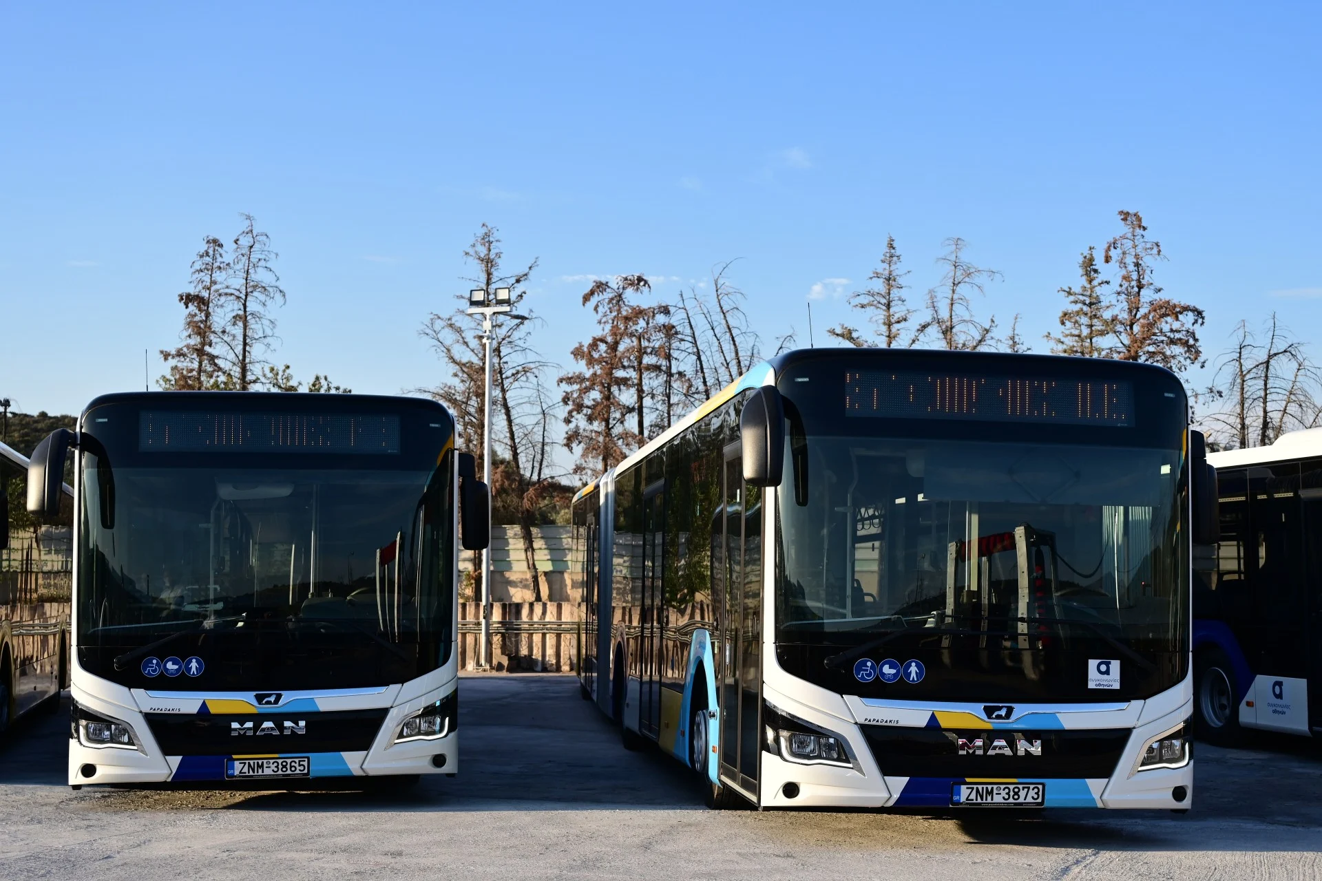 ΟΑΣΑ: Αυξάνονται οι πρότυπες λεωφορειακές γραμμές από την 1η Οκτωβρίου