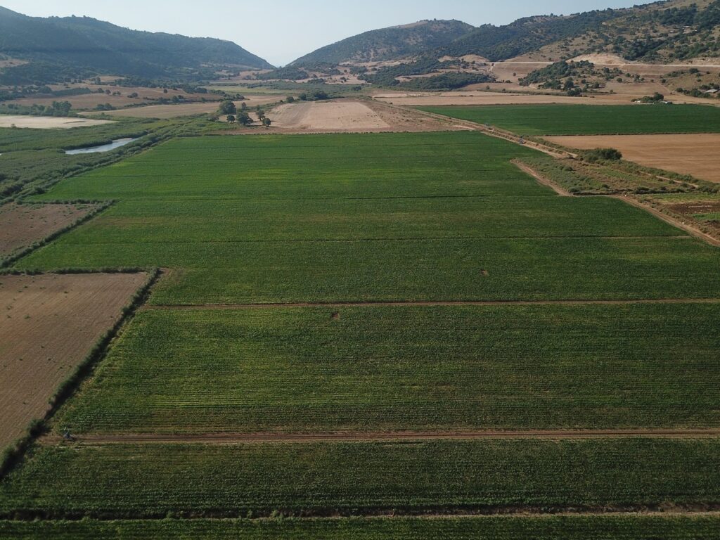 Ως 11 Σεπτεμβρίου τακτοποίηση εκκρεμοτήτων ΕΑΕ 2025 για αγροτεμάχια πειραματικής σποράς