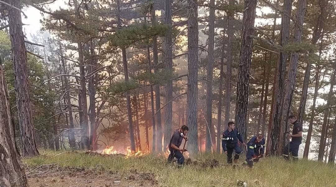 Κόνιτσα: Βελτιωμένη η εικόνα της πυρκαγιάς