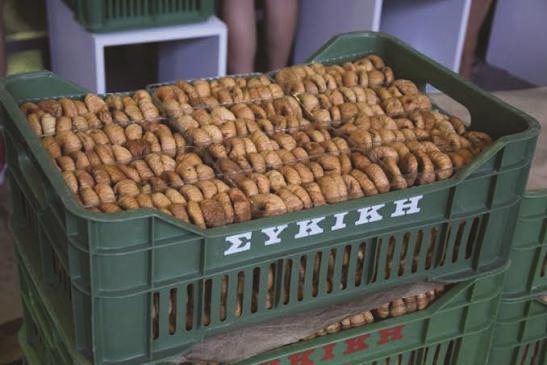 Καλά ποιοτικά αλλά πολλά φέτος τα σύκα στη ΣΥΚΙΚΗ