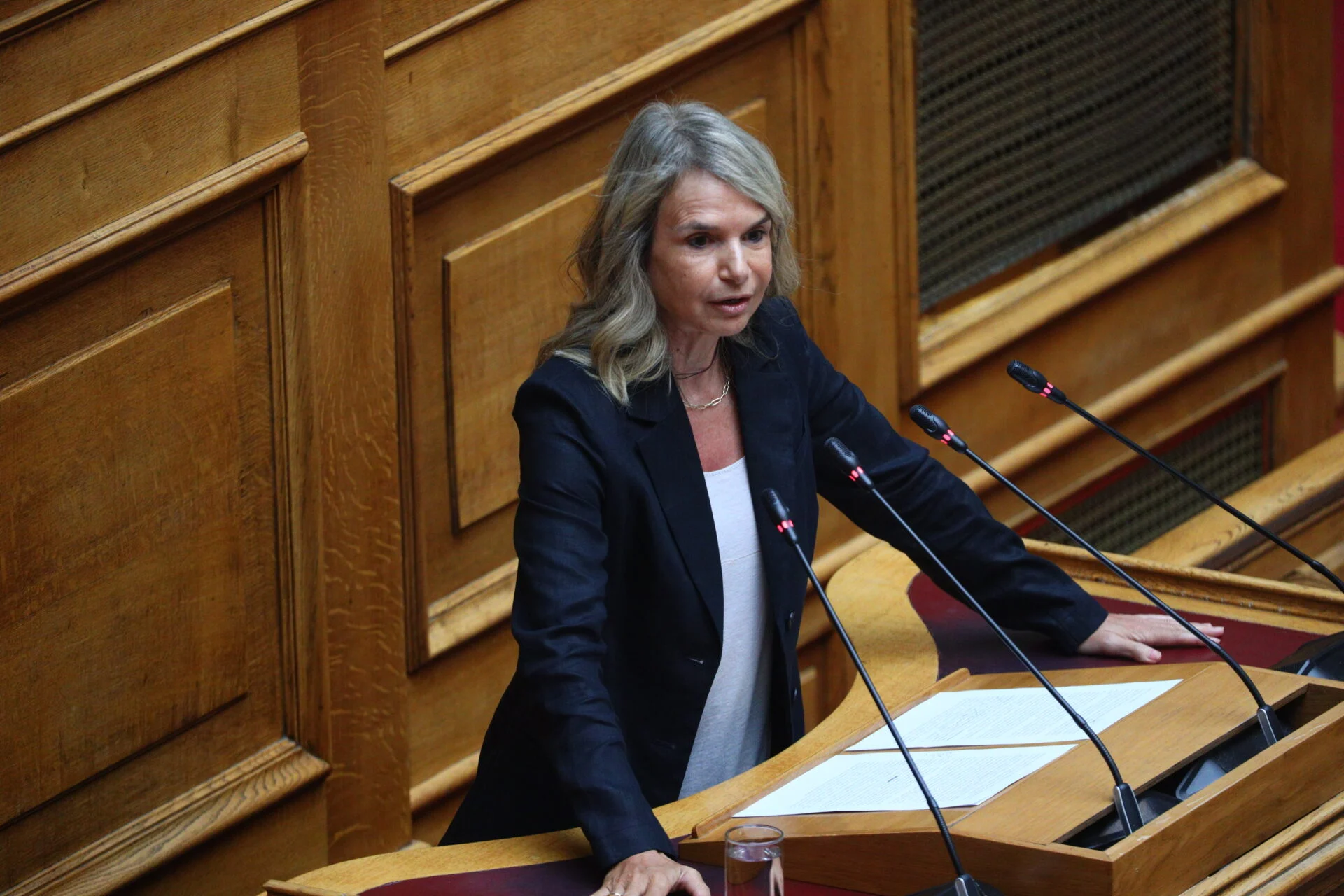 Μιλένα Αποστολάκη: Αναξιοποίητες χιλιάδες σχολάζουσες κληρονομιές
