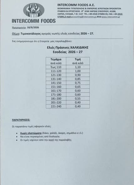 Διπλή η πίεση στην ελιά Χαλκιδικής, με λιγότερη παραγωγή τιμή 50% κάτω
