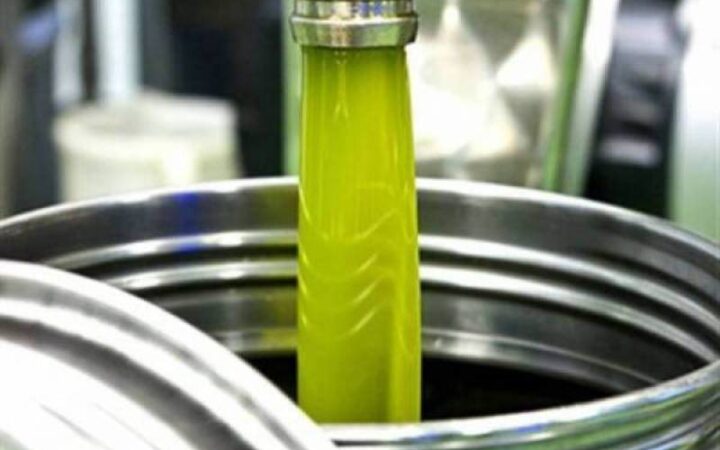 Στα 5,95 ευρώ η πρώτη εμπορική πράξη για το νέο ελαιόλαδο στη Λακωνία