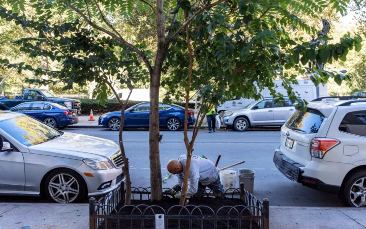 «Νυστάζουν και κοιμούνται. Για πάντα»