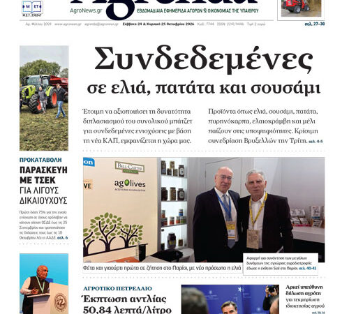 Ευκαιρίες ενόψει για άνοδο της τιμής στο βαμβάκι, κλειδί η αύξηση της ζήτησης για το αμερικάνικο λέει το ICA