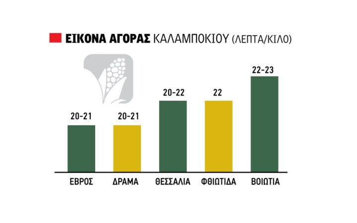 Δικαιολογούν τιμή έως 24 λεπτά οι διεθνείς εξελίξεις στο καλαμπόκι, μετά το αλώνι αναμένεται άνοδος