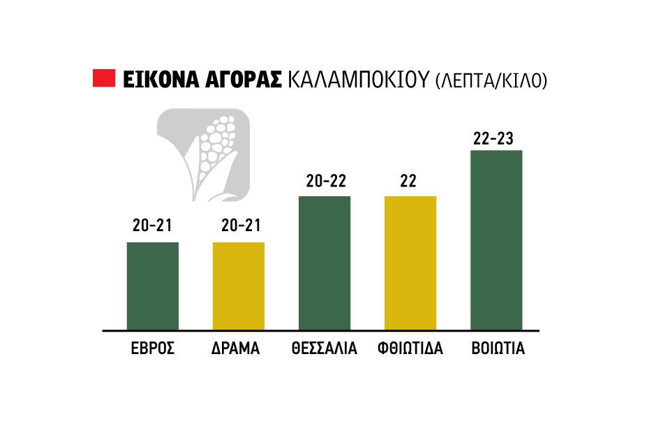 Δικαιολογούν τιμή έως 24 λεπτά οι διεθνείς εξελίξεις στο καλαμπόκι, μετά το αλώνι αναμένεται άνοδος