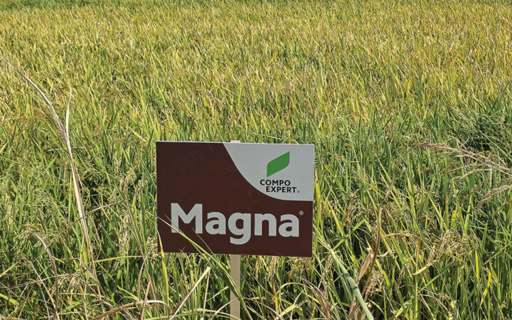 Η εμπειρία θρέψης Magna® ταξιδεύει σε ορυζώνες των Βαλκανίων