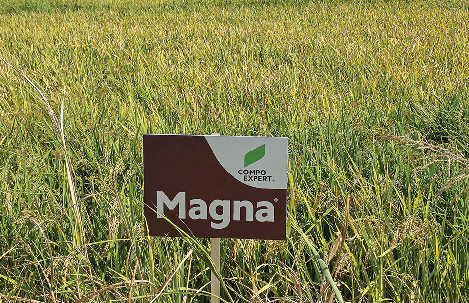Η εμπειρία θρέψης Magna® ταξιδεύει σε ορυζώνες των Βαλκανίων