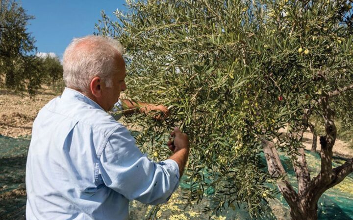 Παράθυρο ΕΕ για πριμ εξόδου αγροτών από το επάγγελμα με ενίσχυση 25.000 – 50.000 ευρώ για τις μεταβιβάσεις