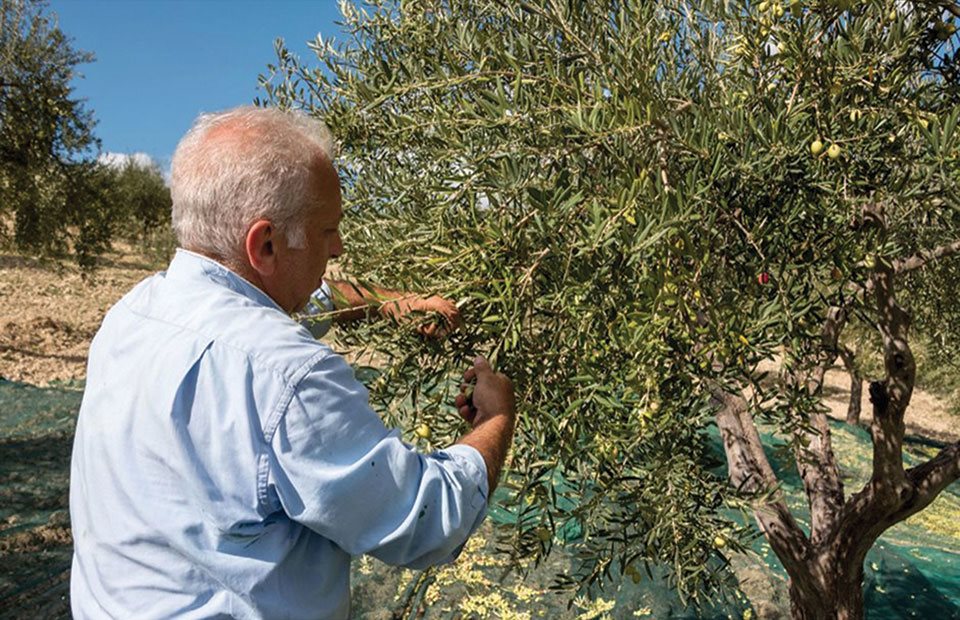 Παράθυρο ΕΕ για πριμ εξόδου αγροτών από το επάγγελμα με ενίσχυση 25.000 – 50.000 ευρώ για τις μεταβιβάσεις