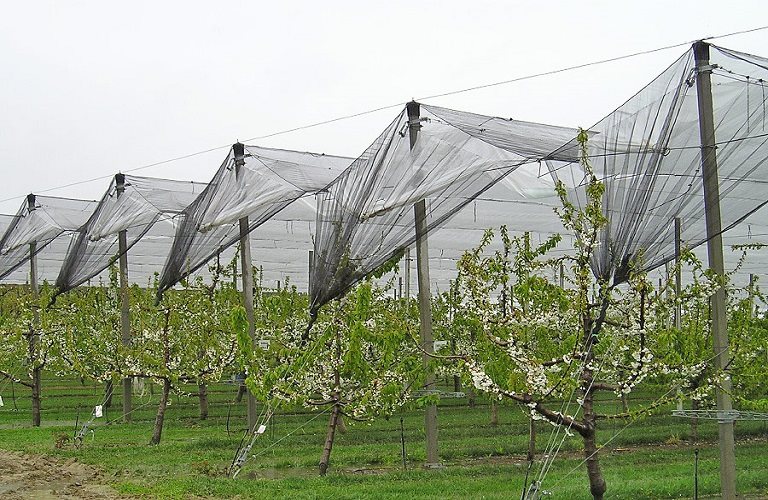Προβλέφθηκαν πιστώσεις 3,5 εκατ. ευρώ για επενδύσεις σε αντιχαλαζικά