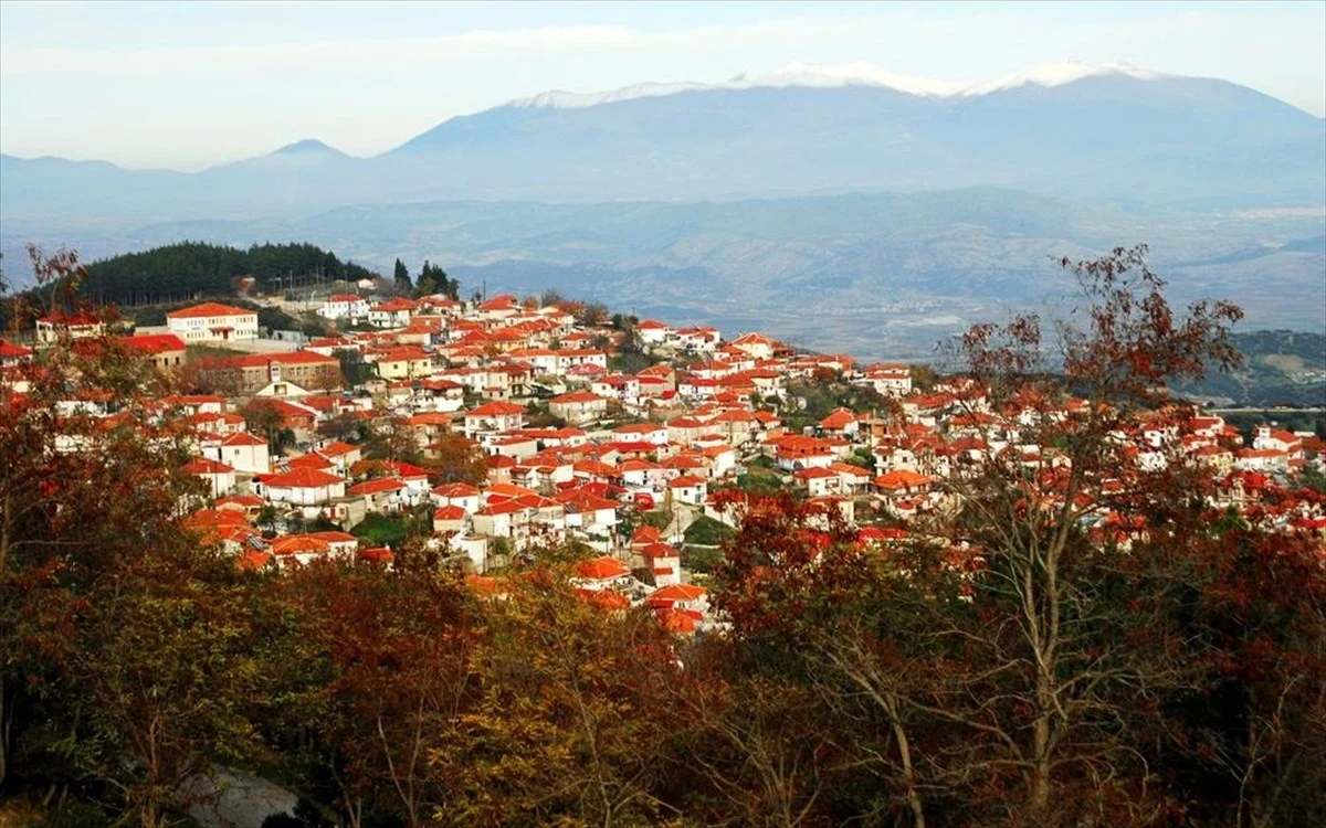 Το άγνωστο χωριό των Αντιχασίων και το μαγικό δάσος της Μαμαλής