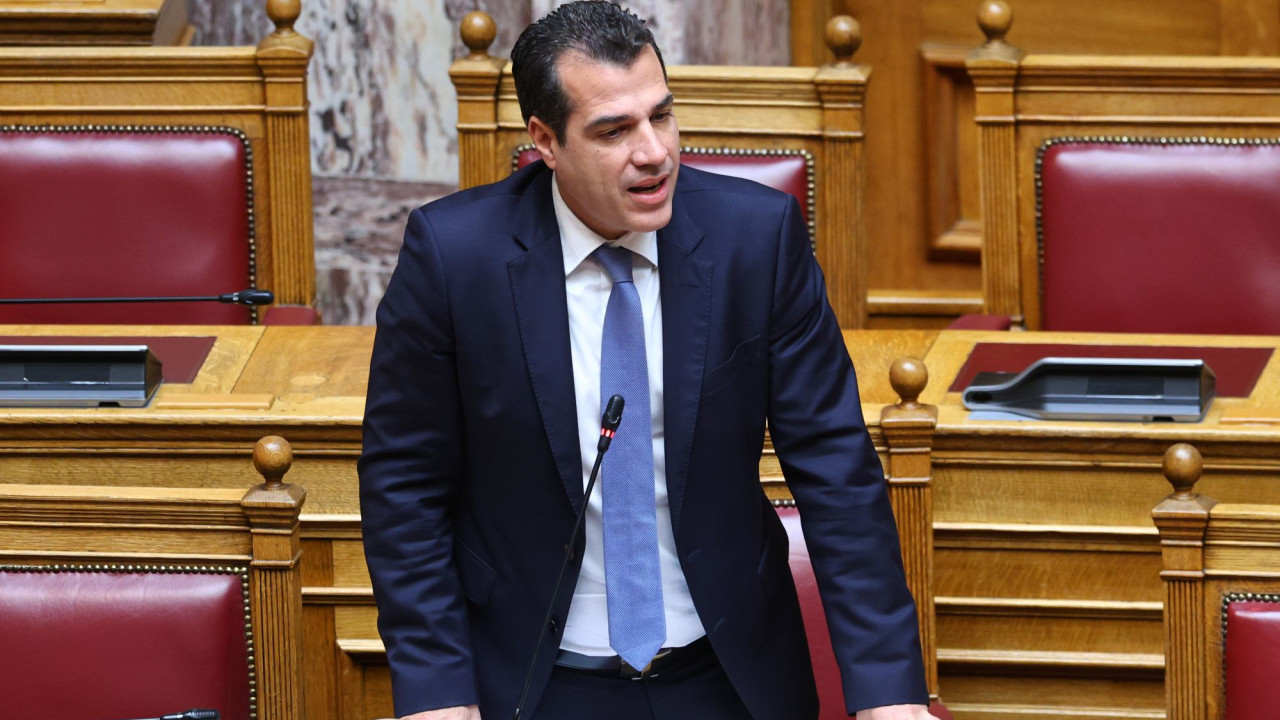 Πλεύρης: Μετά τα Χριστούγεννα η συμφωνία για κόμβο επιστροφής στην Αφρική