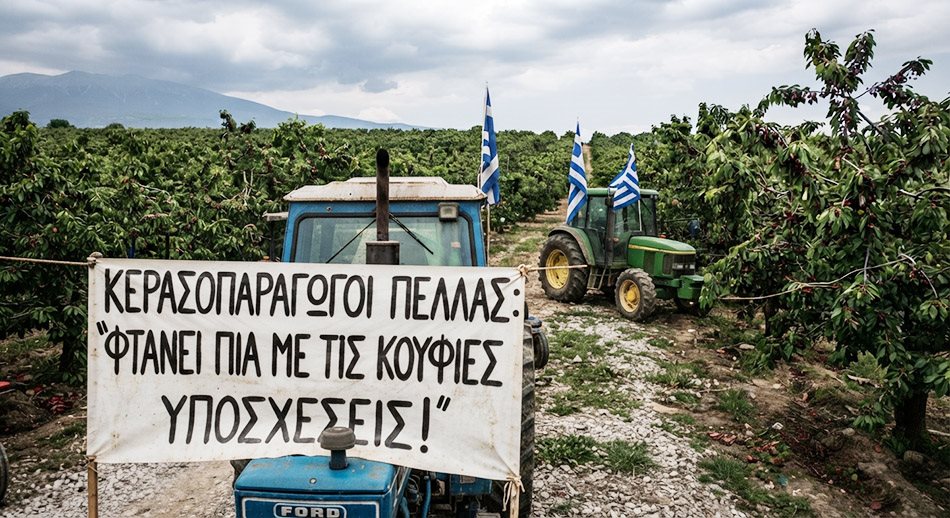 Ραντεβού στα φανάρια του Μαυροβουνίου δίνουν το Σάββατο 10 Οκτωβρίου οι διαμαρτυρόμενοι κερασοπαραγωγοί Πέλλας