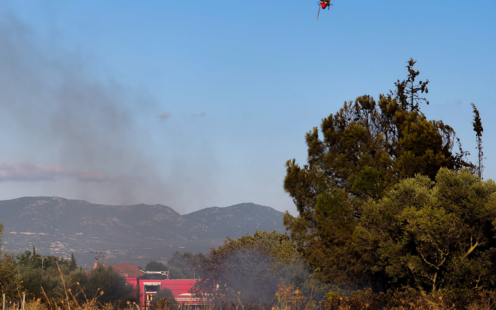 Καρδίτσα: Πυρκαγιά στην περιοχή Καταφύλλι του δήμου Αργιθέας