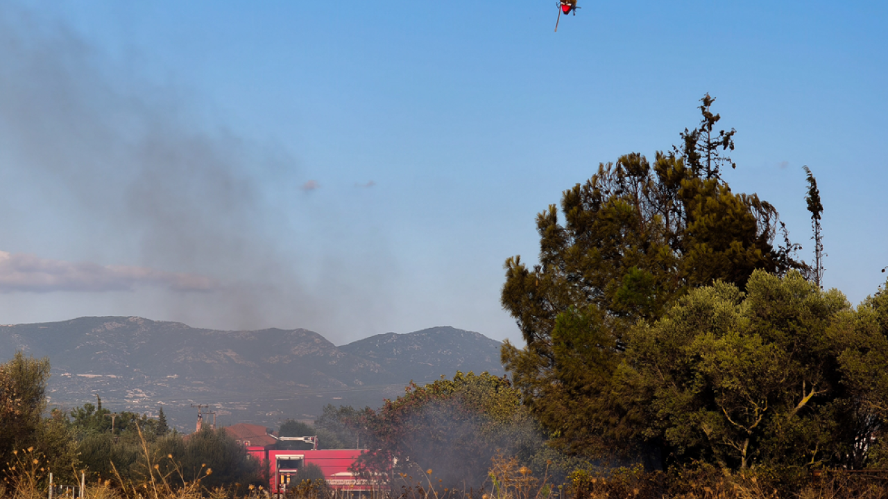 Καρδίτσα: Πυρκαγιά στην περιοχή Καταφύλλι του δήμου Αργιθέας    