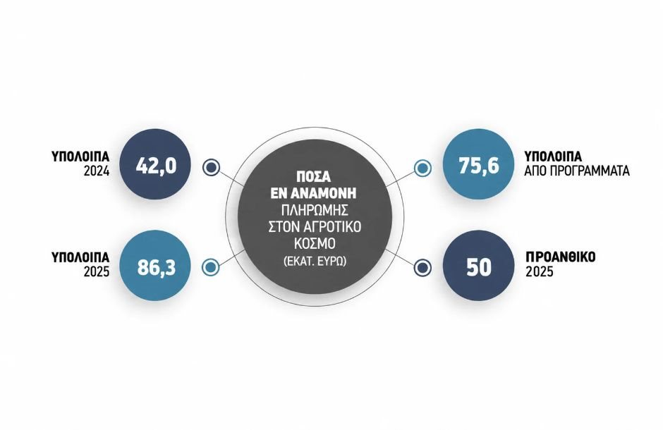 Με κρατικά χρήματα τα υπόλοιπα του 2024 ύψους 42 εκατ. ευρώ, μεταφέρεται για τον Δεκέμβριο η πληρωμή