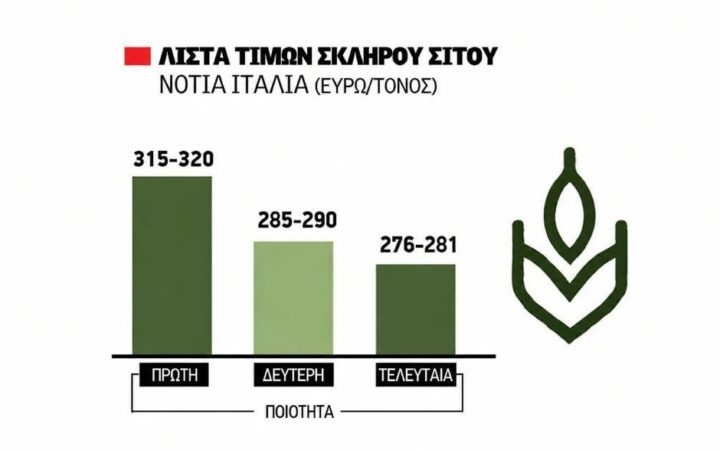 Κατανάλωση ρεκόρ στο σιτάρι βλέπει το IGC, κυνηγά τα 260 ευρώ ο τόνος FOB για εξαγωγή σκληρού η Ελλάδα