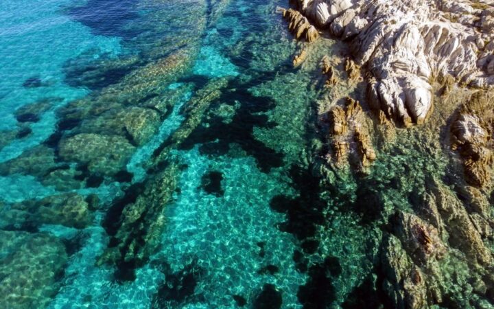 Στο ΣτΕ το σχέδιο για το Εθνικό Θαλάσσιο Πάρκο Νοτίου Αιγαίου 1, βήμα για την προστασία των θαλασσών