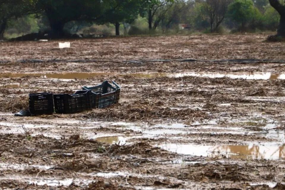 Έως τις 19 Οκτωβρίου δηλώσεις ΕΛΓΑ για ζημιές στο Οροπέδιο Λασιθίου