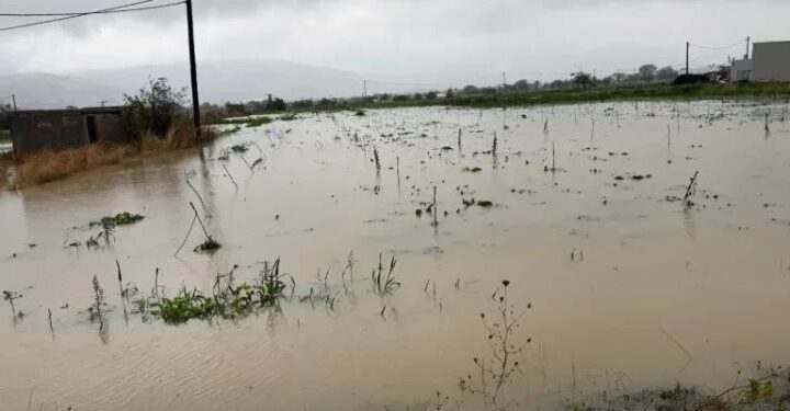Πνίγηκε ο κάμπος κηπευτικών στο Λασίθι, αγωνία για ποιμνιοστάσια