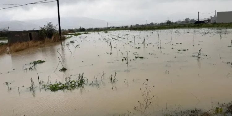 Πνίγηκε ο κάμπος κηπευτικών στο Λασίθι, αγωνία για ποιμνιοστάσια
