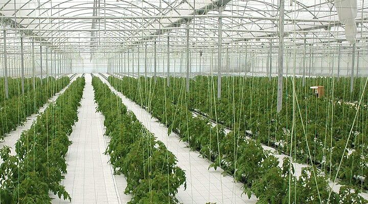 Έργα 7,71 εκατ. σε αγροτεχνολογία, αγροδιατροφή, υδροπονία και πολιτισμό στην Πελοπόννησο