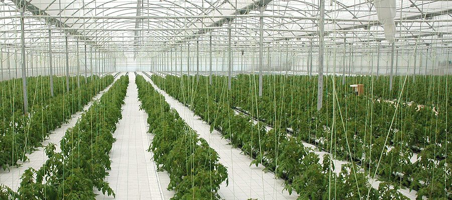 Έργα 7,71 εκατ. σε αγροτεχνολογία, αγροδιατροφή, υδροπονία και πολιτισμό στην Πελοπόννησο