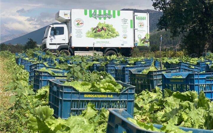 Στον όμιλο Σκλαβενίτη το 49% της Eurocatering